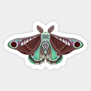 Moth sticker brown, green and pink pastel Sticker